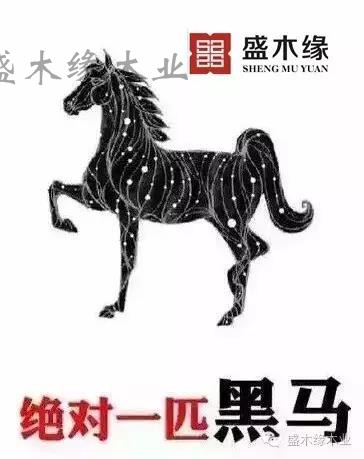 1-1F41Q44054200 1-1F41Q44054200